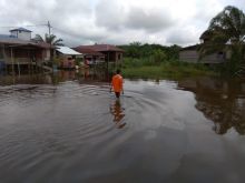 Kondisi banjir Pelalawan/ardi