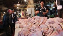 Harga ayam potong di Pekanbaru melonjak