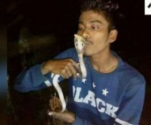 Selfie dengan Ular Kobra, membuat nyawa pria ini melayang. Foto: inst 
