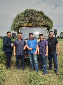 Wabup H Halim kunjungi perkebunan serai wangi/zar