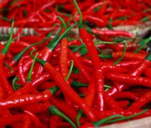 Harga cabai merah turun (foto/int) 