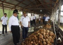 Bantuan Alat Berat Eksavator Dari Kementrian, Bupati HM Wardan Berkomitmen Penyelamatan Kebun Rakyat