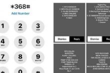 Status Mobil dan Motor Seken bisa diketahui dengan mengetik ini/int