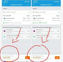 Asita Riau minta tarif rute domestik diturunkan maskapai (foto/int) 