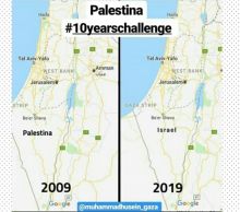 Aktivis kemanusiaan ini unggah foto Palestina di internet (foto/instagram) 