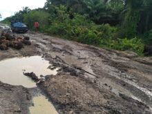 Kondisi jalan yang rusak pasca banjir di Pelalawan/ardi