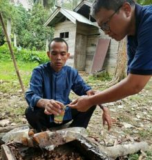 Ustaz Abdul Somad panen madu kelulut (foto/int) 