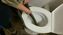  Ular Piton Ini Menyelinap ke Toilet Warga
