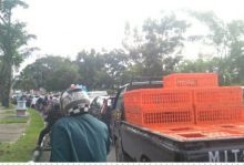 Jalan Arifin Ahmad menuju Jalan Sudirman macet (foto/riki) 