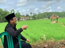 Ustaz Yusuf Mansur di sawah (foto/instagram) 