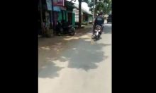 Dua Pria Ini Panen Kecaman Netizen karena Seret Kucing Naik Motor