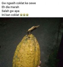 Salah satu komentar yang dibuat warganet di medsos/int