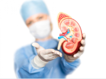 Penyakit batu ginjal/int