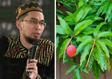 Ustaz Adi Hidayat bahas hukum ambil mangga tetangga (foto/int) 