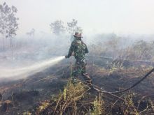 Karhutla di Selatpanjang, tim pemadam masih terus melakukkan pemadaman/mad