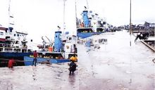 Pelabuhan cargo Tanjung Harapan Selatpanjang