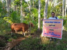 Program community development