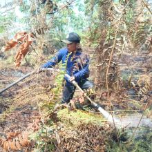 Upaya pemadaman karhutla di Pulau Rupat/hari