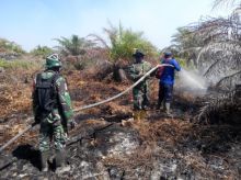 Ilustrasi titik api/int