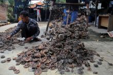 Peternak ular di Desa Zisiqiao yang terletak di provinsi Zhejiang