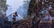 Upaya pemadaman karhutla di Kabupaten Siak/lin