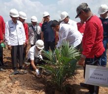 Penanaman perdana program peremajaan kebun sawit