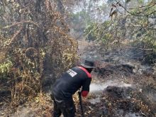 tTm pemadam PT SRL berjibaku memadamkan Karhutla di Pulau Rangsang /mad