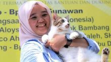 Bandi, kucing mirip Bobi/ foto/detik.com