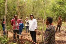 Haris Gunawan, meninjau lokasi gambut ke Kelurahan Sungai Pakning, Kecamatan Bukit Batu//hari