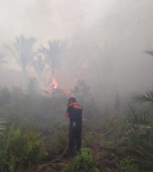 Karhutla kembali terjadi di wilayah Pulau Bengkalis tepatnya di Kecamatan Bengkalis/hari