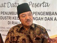 Anggota Komisi VI DPR RI, Idris Laena