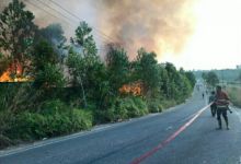 Hotspot Riau kembali bertambah (foto/ilustrasi) 