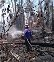 Upaya pemadaman karhtla di Bengkalis/hari