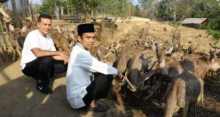 UAS bersama Wagub Sumut Musa Rajekshah memberi makan puluhan rusa. Foto: int 