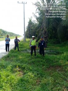 Lokasi lakalantas yang menyebabkan satu orang korban meninggal dunia/hari