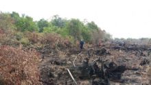 Hotspot dan cuaca di Riau (foto ilustrasi) 