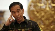 Presiden Joko Widodo (foto/int)
