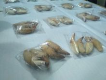 43 bungkus gigi taring beruang madu berhasil diamankan Balai Karantina Pekanbaru bersama Avsec Bandara SSK II beberapa waktu lalu.