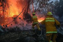 Para petugas pemadam kebakaran sedang menangani kobaran api di kawasan dekat Kibbutz Harel, Israel tengah, Kamis (23/5/2019). 