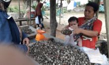 Pedagang kerang darah melayani pembeli di Kepenghuluan Mukti Jaya, Rohil (foto/riki)