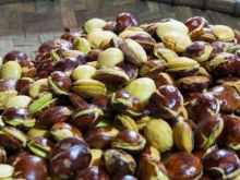 Harga jengkol murah di Pekanbaru (foto/int)