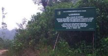 Hutan Lindung Bukit Betabuh Kuansing/zar