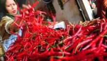 Cabai merah harganya melejit di Provinsi Riau (foto/int)