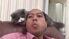 Almarhum Sutopo dan kucing kesayangannya