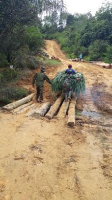 Anggota Satgas TMMD ke 105 Kodim 0313/KPR Bantu Warga Seberangi Jembatan Desa (foto/istimewa)