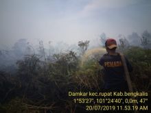 Tim terus melakukan upaya pemadaman di Pulau Rupat Bengkalis/hari