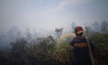 Karhutla Pulau Rupat/hari