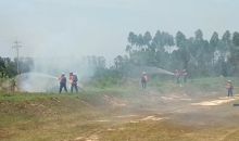 Fire Operation Management Head PT Arara Abadi Deny Widjaya