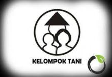 Kelompok tani/int
