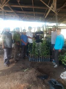 Penyerahan 1700 batang bibit jeruk manis kepada Kelompok Tani Air Terjun, Desa Teluk Paman Timur, Kecamatan Kampar Kiri, Kabupaten Kampar./IST